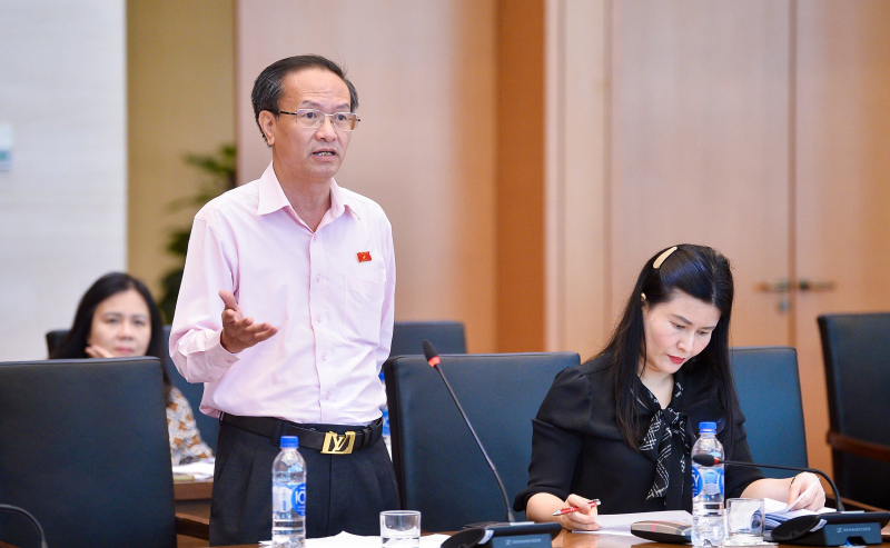 Ủy viên chuyên trách Ủy ban Kinh tế Đinh Ngọc Minh phát biểu